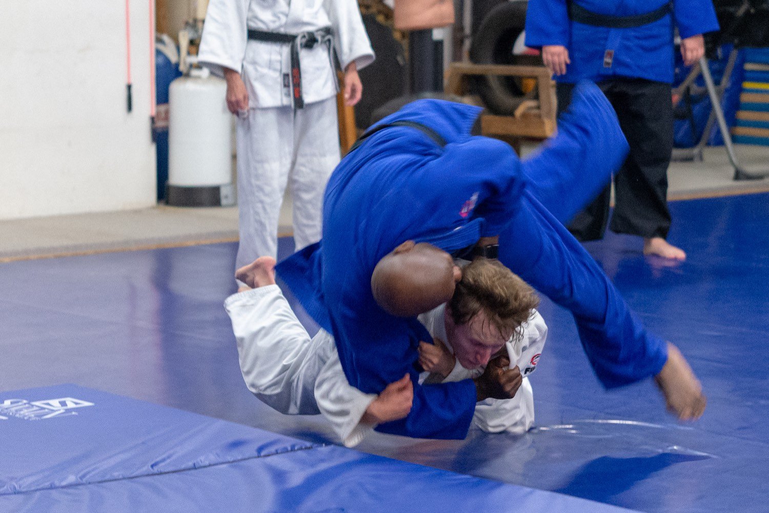 A student in blue throws a partner in white onto the mat
